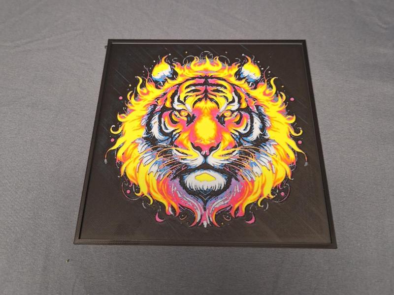 Colorful Tiger
