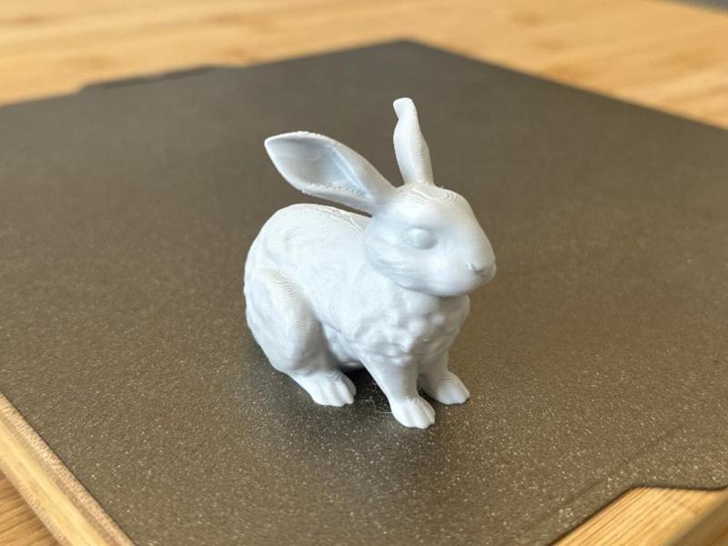 Bunny