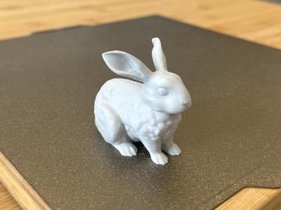Bunny