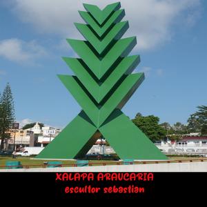 xalapa araucaria araucaria "sebastian".