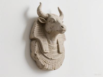 bull