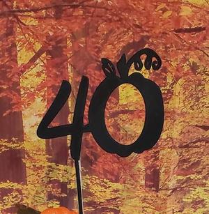 Pumpkin  40 years Cake Topper
