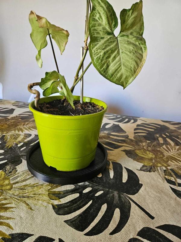 Pot dish