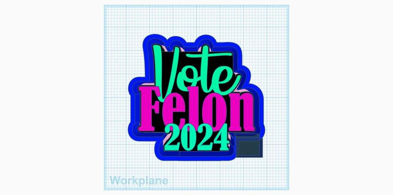 Vote Felon 2024