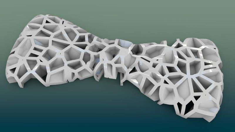 Voronoi Bow Tie