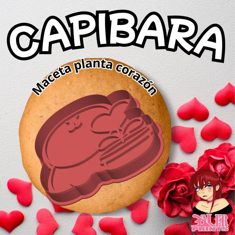 Capibara Valentine's Day Potted heart plant