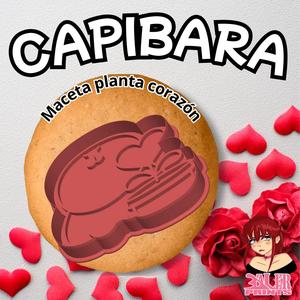 Capibara Valentine's Day Potted heart plant