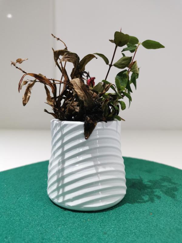 Plant Pot Swish Design