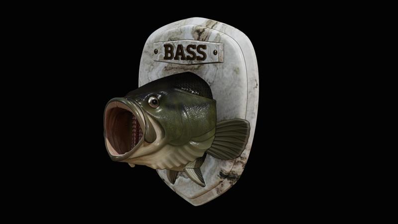 fish Largemouth Bass / Micropterus salmoides head trophy open mouth statue detailed texture for 3d printing