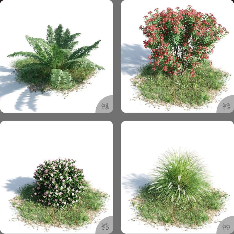Tussock And Flower Plant Home Decor 3D Model 41-44