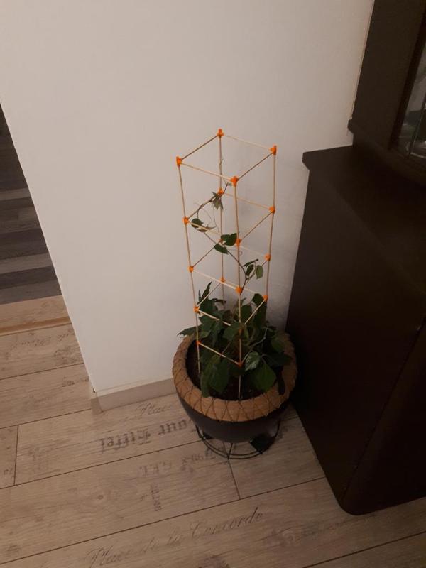 Flower cube climber