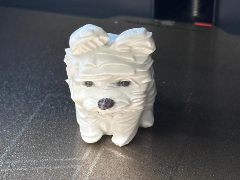 Windblown Messy Little Dog