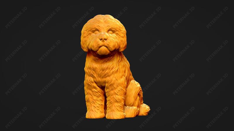 Bolognese Dog 3D Print Model Pose 05