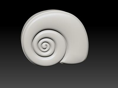 seashell caracol - MOLD BATH BOMB, SOLID SHAMPOO