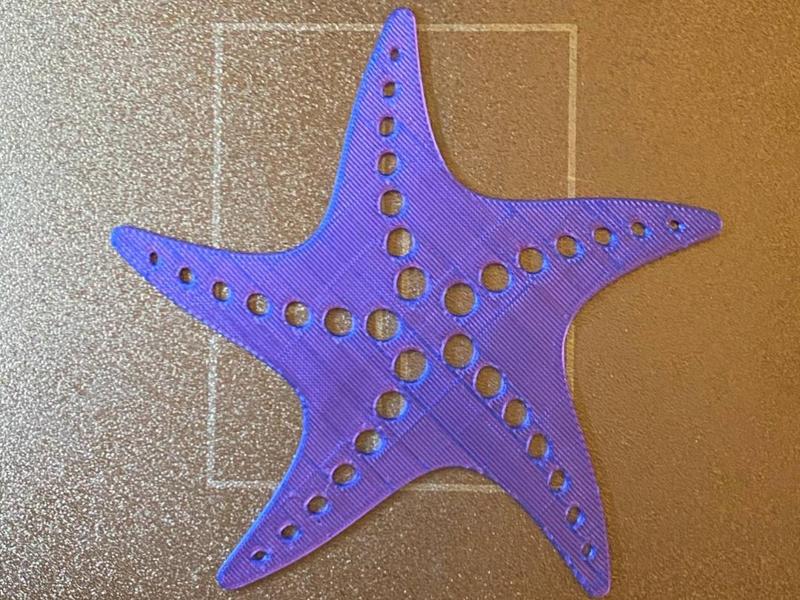 Sea Star Stencil 