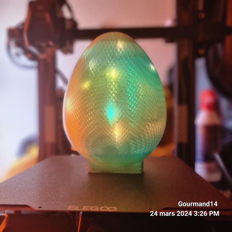 Luminous egg
