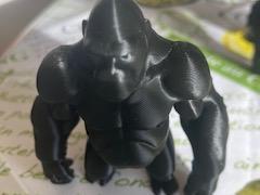 GORILLA 3 SERIE GORILLA