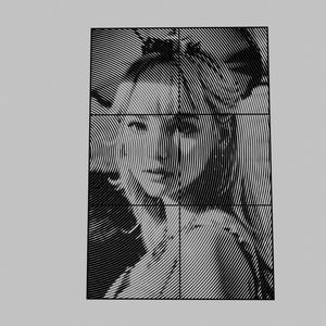 WALL ART - PRINCESS PEACH IN REAL LIFE 1