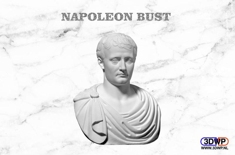 Napoleon Bust