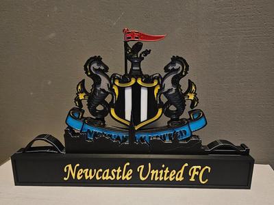 newcastle united with the skyline of New castle