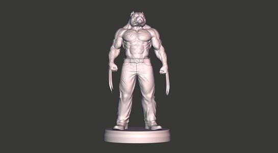 American Bully Wolverine