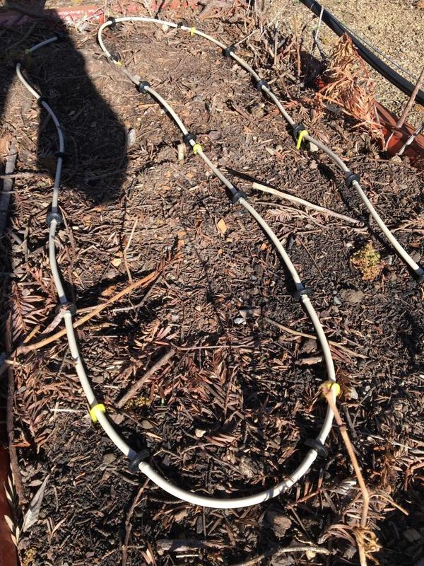 1/4" Drip Tubing Stakes