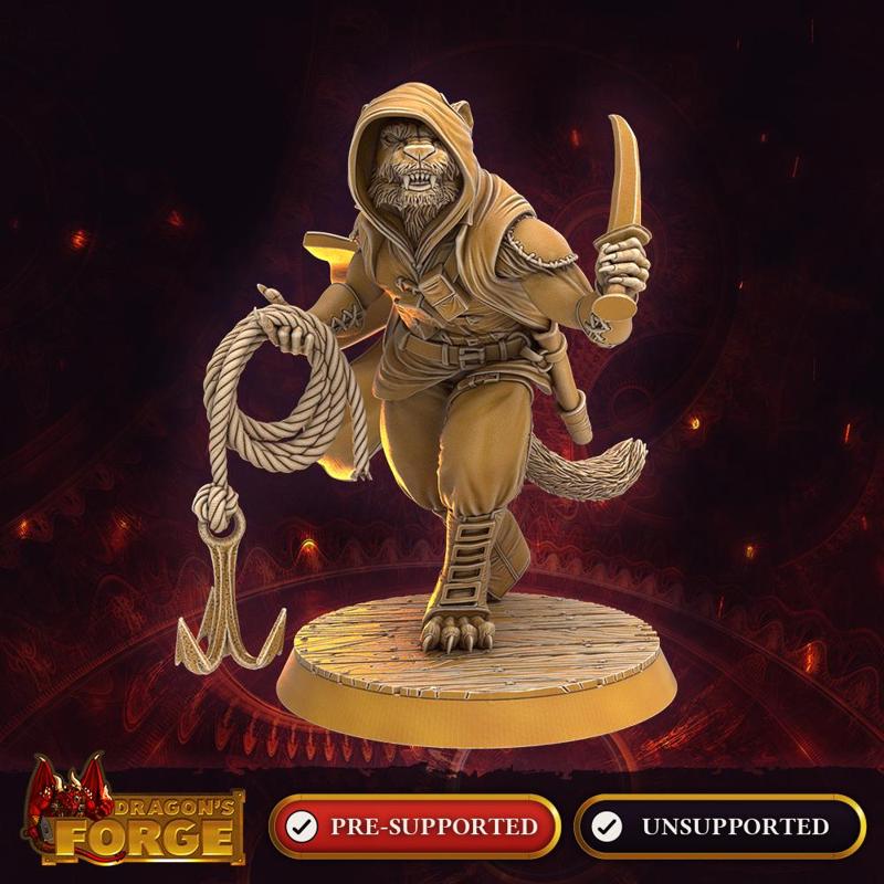 Katmandari Male Thief of the Arachnus Cowl 2