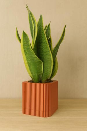 CANETH 2.0. Modern Ribbed Planter – Minimalist 3D Printed Vase