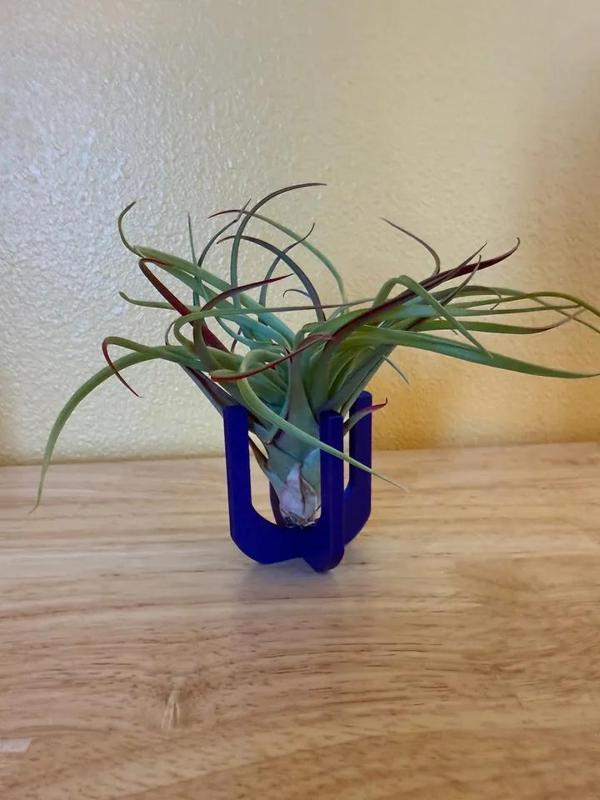 Air Plant Holder - Parametric   