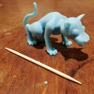 Feline (on four feet)