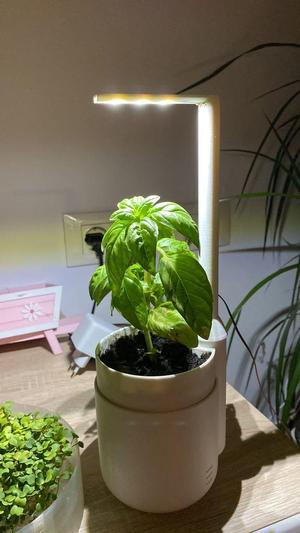 LED lamp for self watering planter
