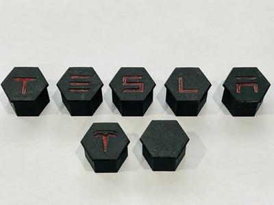 Tesla Lug Nut Covers