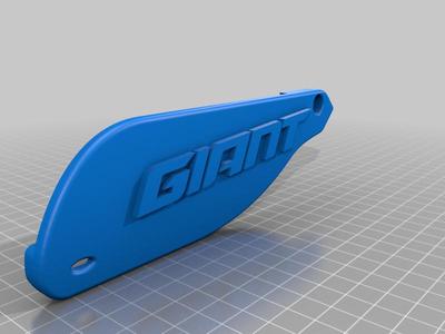 Giant reign e+ 2 Chain protekt MTB FULLY E Bike