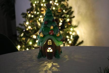 Christmas tree fairy home