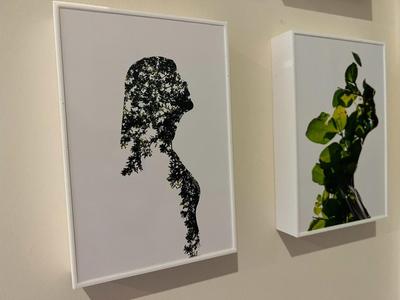 Photo Frame 3D