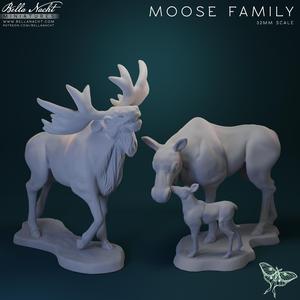 Moose Family
