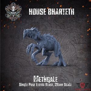 House Bharteth - Methgale