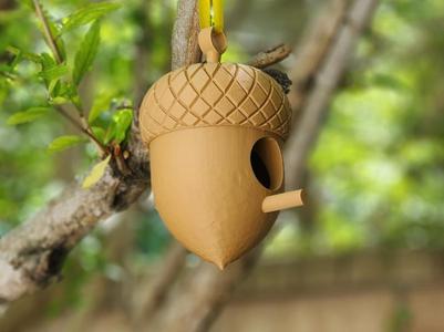 Acorn Bird House