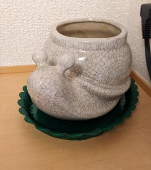 Leafy Planter Plate