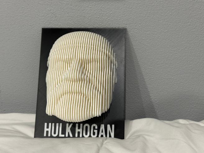 Layered Hulk Hogan Art Sculpture