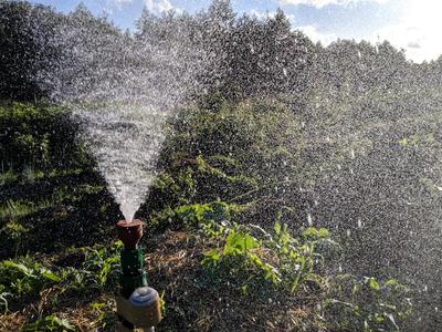 Simple plume sprinkler / Water blaster (print in place)