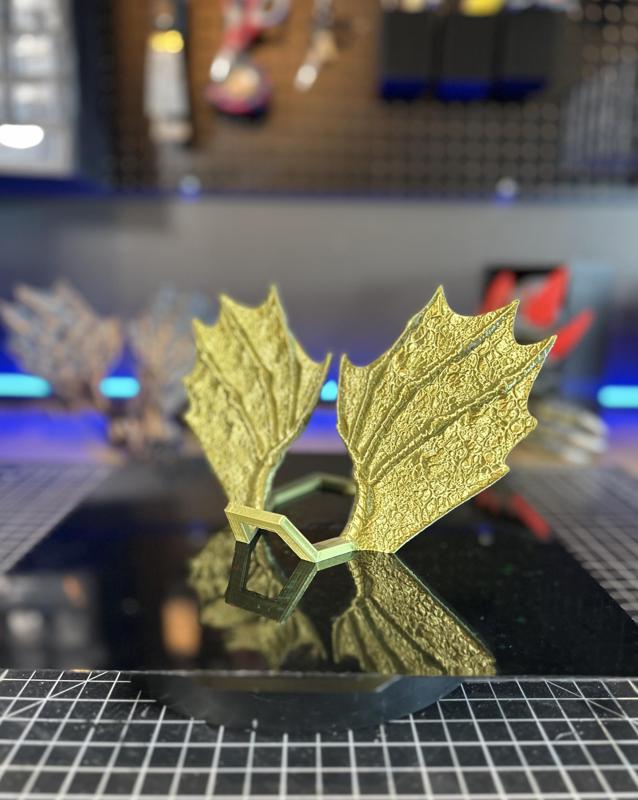 Dragon Wing Book Display