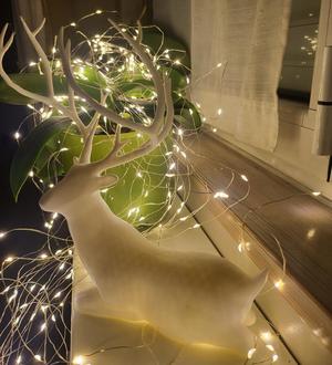 deer christmas- cervo