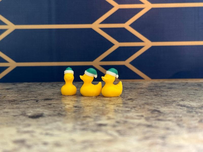 Elf Rubber Duck Earrings