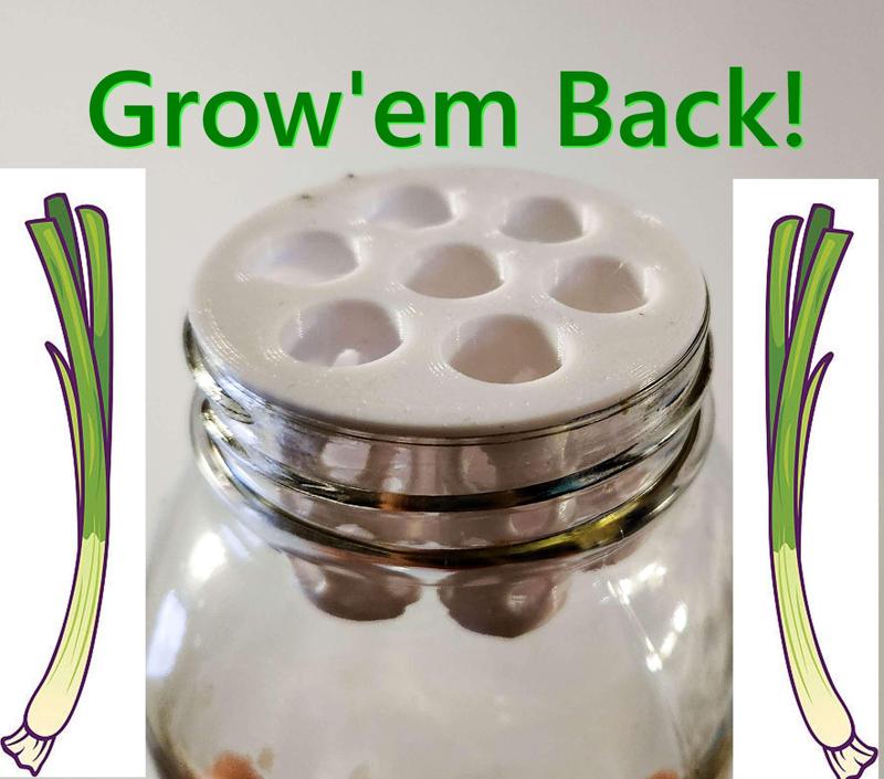 Green Onion Scallion Mason Jar Farm Re Grow Hydroponic Kratky