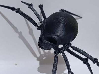 Skull Spider
