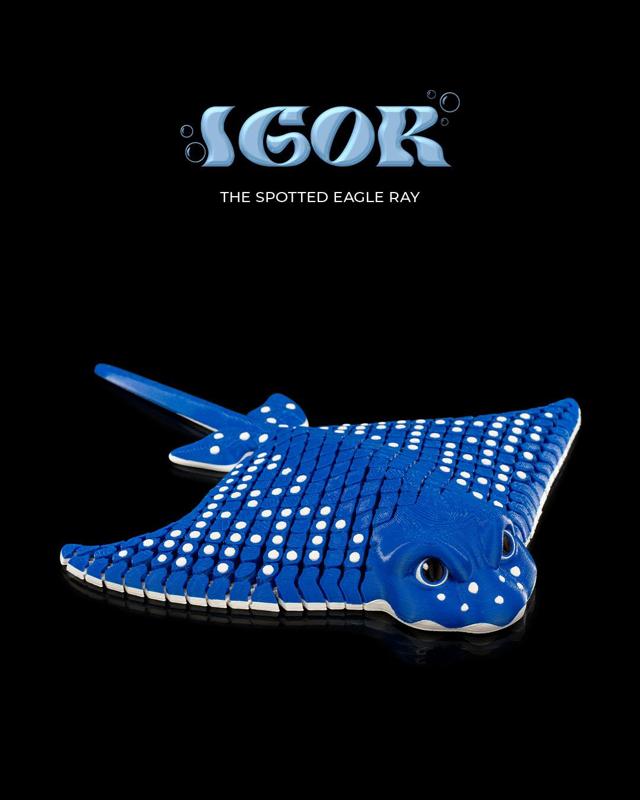 Igor, the Spotted Eagle Ray 