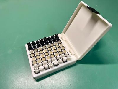 Travel Chess