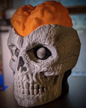 BRAIN SKULL