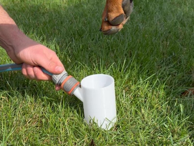 AquaTwist: Gentle Paw Cleaner with Water Vortex